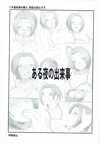 Aru Yoru no Dekigoto cover
