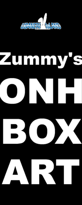 ONH BOX ART cover