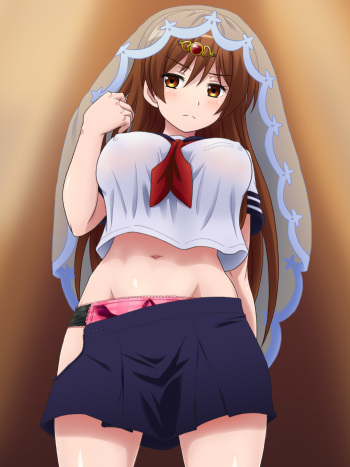 豆柴 cover