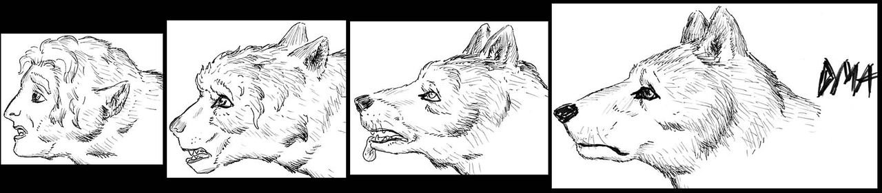 Werewolf page 8 full