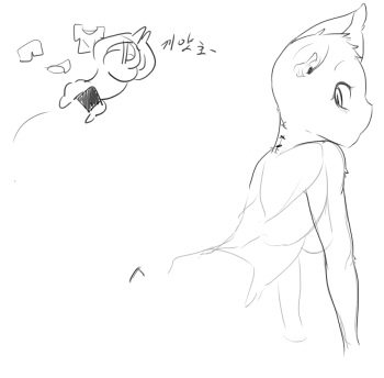넷캔 cover