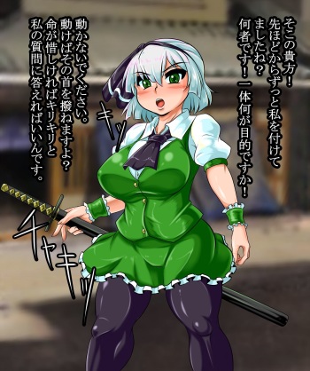 Youmu VS Shishou Oji-san cover