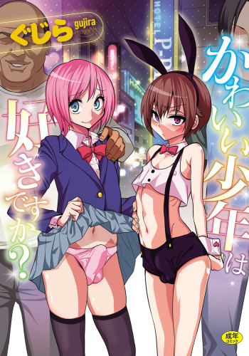 Kawaii Shounen wa Suki desuka? cover