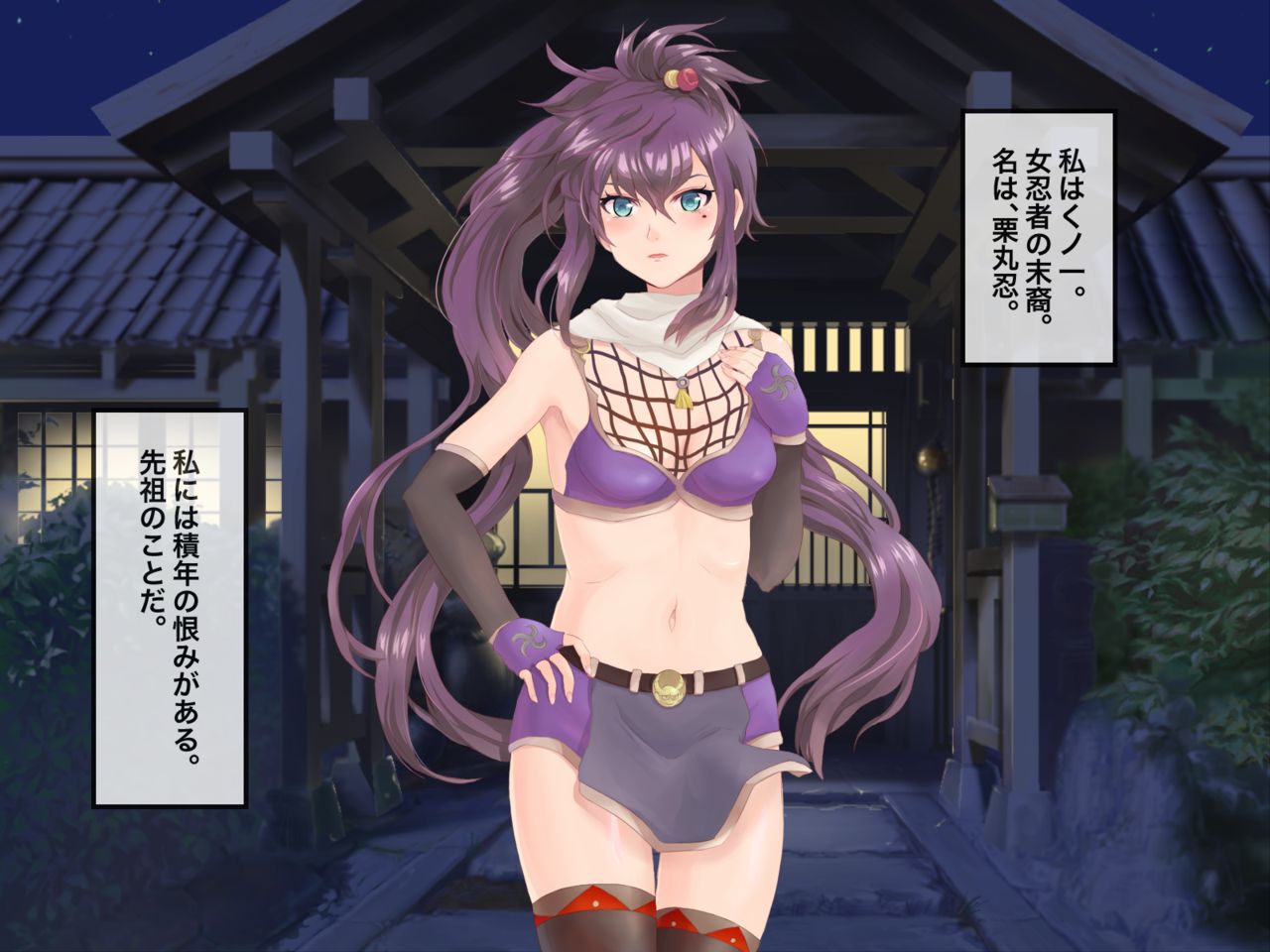 Futanari Kunoichi Inran Ninpouchou -Sekinen no Onnen Haramase Goukan Adauchi no Toki- page 2 full