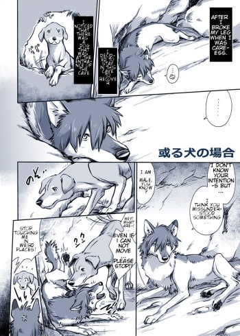 Aru Inu no Baai | A certain dog's situation cover