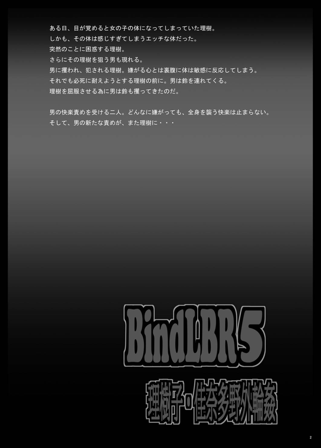 BindLBR5 page 3 full