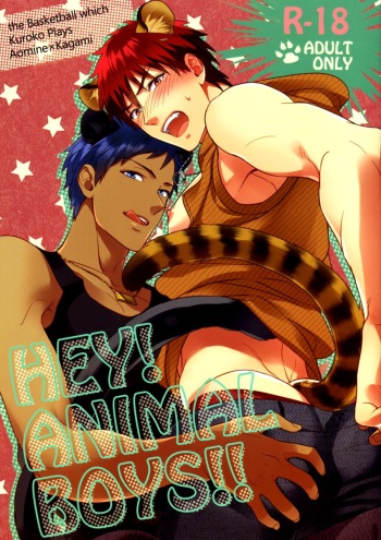 HEY! ANIMAL BOYS!! cover