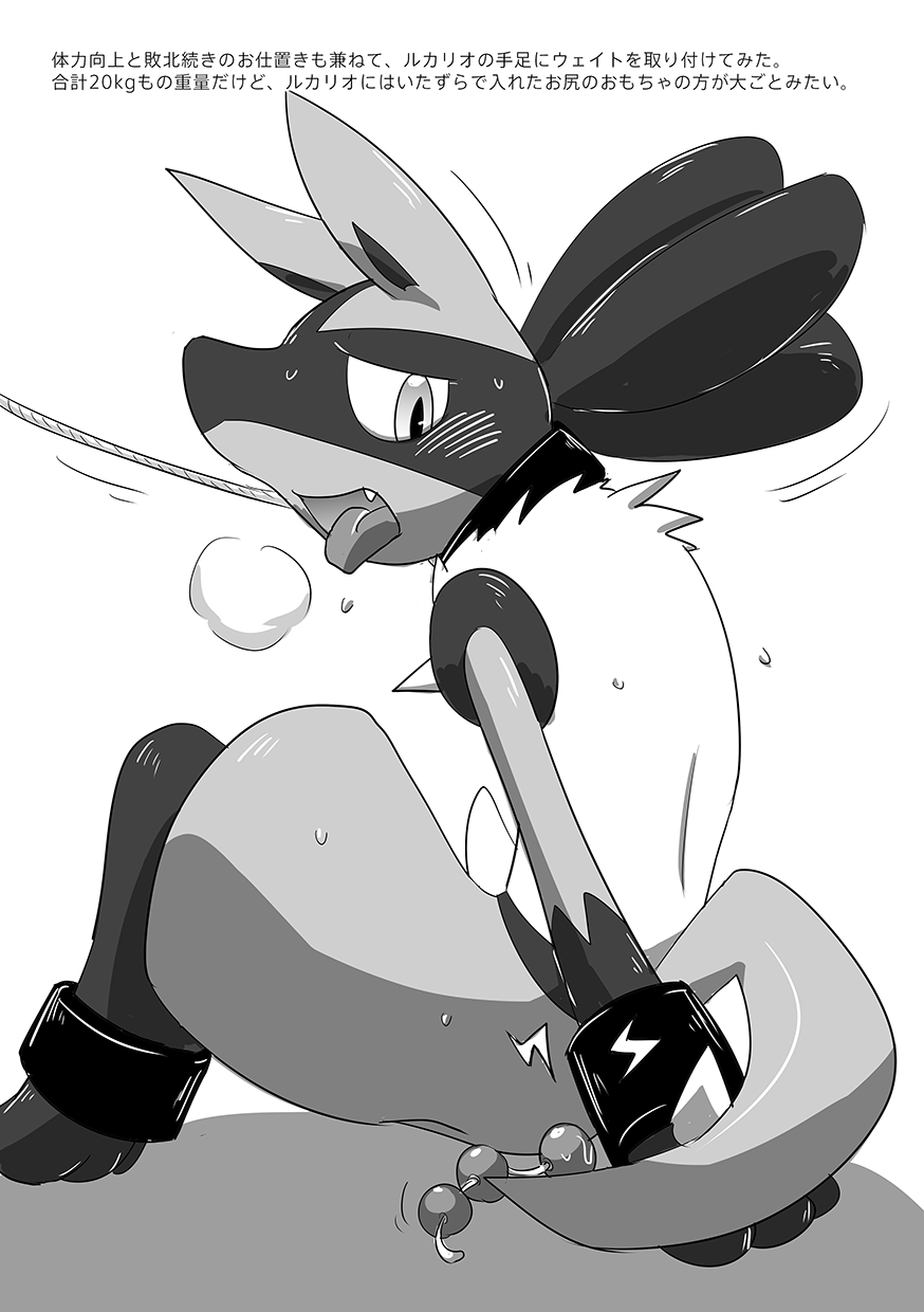 Lucario Training Book「How to Train Your~」 page 6 full