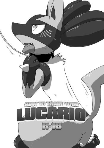 Lucario Training Book「How to Train Your~」 cover