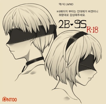 2B 9S cover