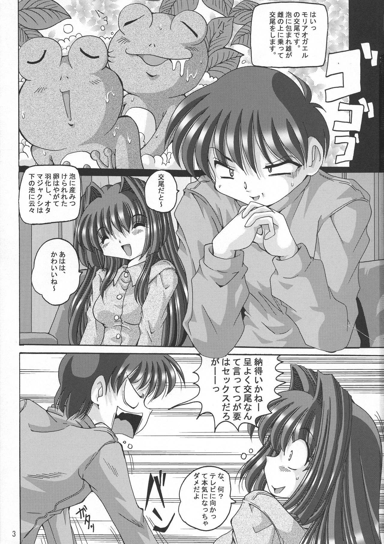 V-TIC 37 page 3 full