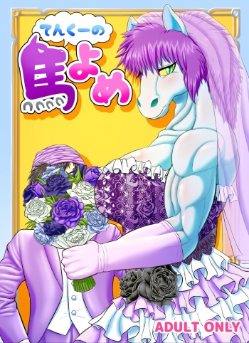 Tenkuu no Uma Yome cover
