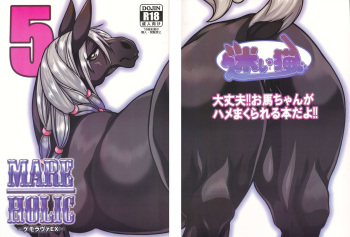 MARE HOLIC 5 cover