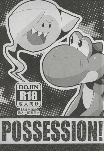 POSSESSION!!! cover