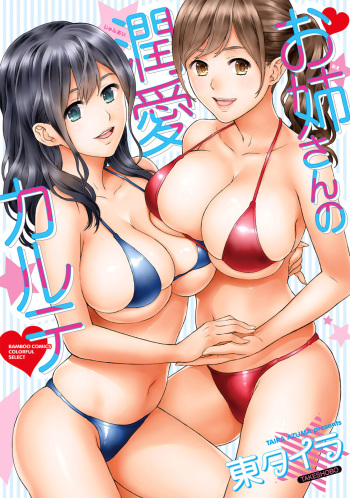 Onee-san no Junai Karte cover