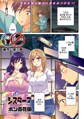 Ayatsure! Sisters Ch. 1 cover