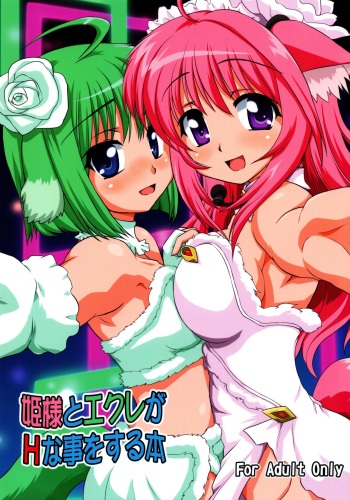 Hime-sama to Eclair ga H-na Koto o suru Hon cover