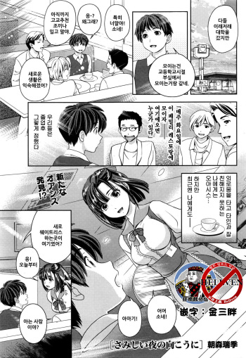 Samishii Yoru no Mukou ni - Over the Lonly Night... cover