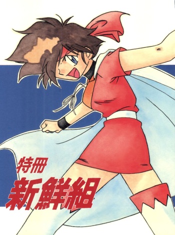 Tokusatsu Shinsengumi cover