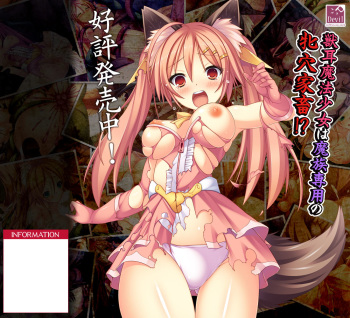 Kemomimi Mahou Shoujo Serina ~Oware Kegasare Kachiku ni Ochiru~ cover