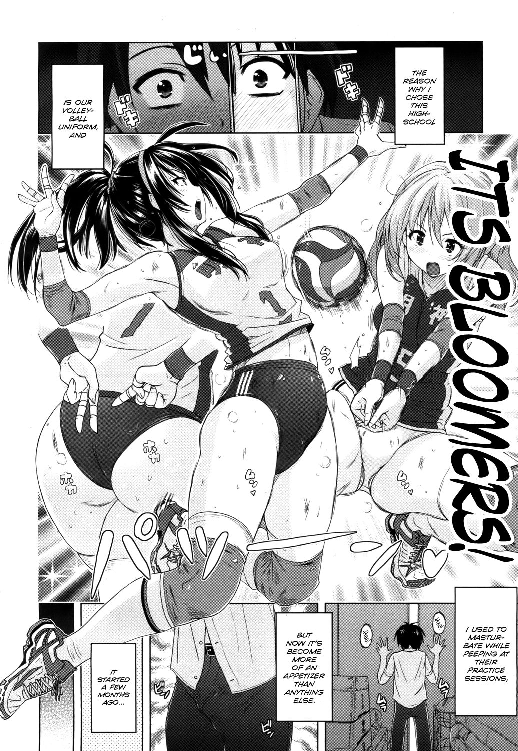 Volleybloom page 2 full