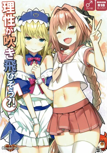 Risei ga Fukitobisou?! cover