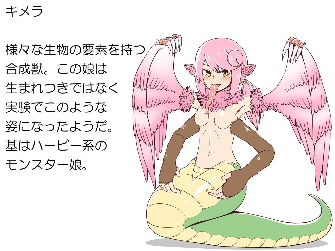 Monster Musume to. 4 page 3 full