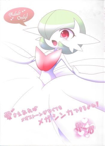 Ai sae Areba Mega Stone ga Nakute mo Mega Shinka Dekiru yo ne! cover