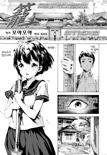 Kago cover