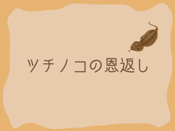 Tsuchinoko no Ongaeshi cover