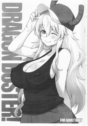 DRAGON BUSTER! cover