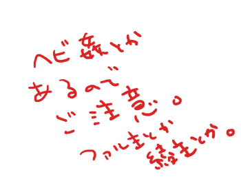 Shimotsuki Makoto  —  【Restricted】 Serpent or Far Lord or Aya-sama 【R-18】 cover
