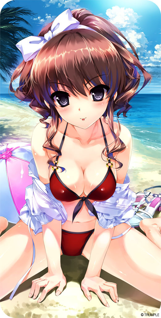Ushinawareta Mirai o Motomete Softmap Tokuten Special Disc page 5 full