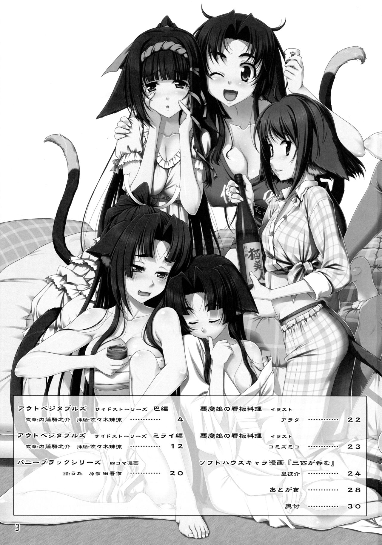 ソフトハウスキャラのいろいろ 3 page 2 full