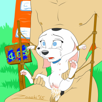 ARTIST Zooshi cover