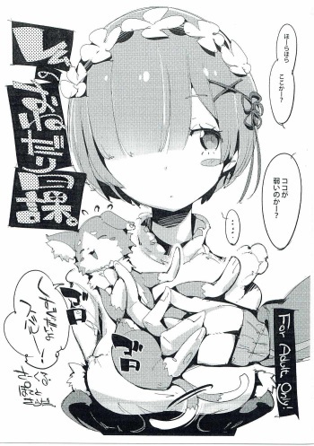 Rem no Onedari Nikka. cover