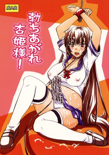 Tachiagare Kyouhime-sama! cover