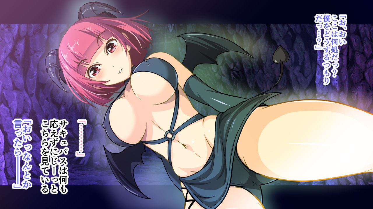 Mukuchi na Succubus ni Shokuryou to Shite Hokaku Sareta Hanashi. page 8 full
