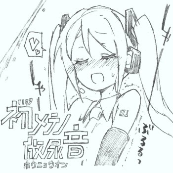【初音ミク10th】初めての放尿音 cover