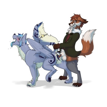 Furries on Ferals cover