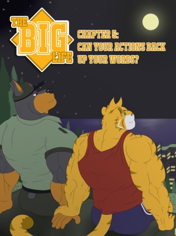 The big life 5 cover