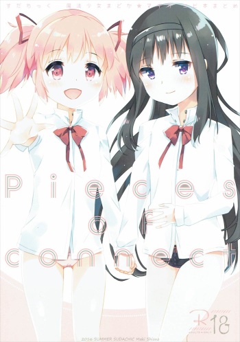 Pieces of connect cover