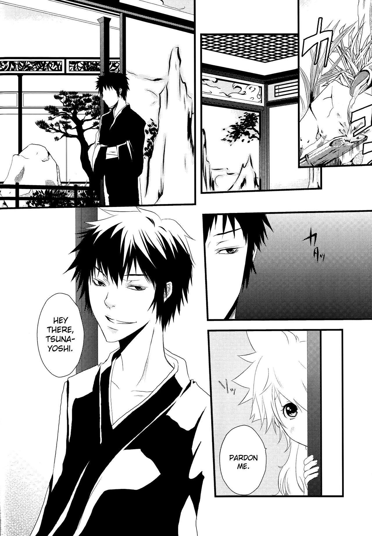 Dimorphotheca page 8 full