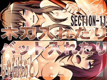 Bokutou Iretari Bat Iretari cover