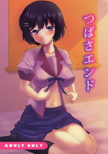 Tsubasa End cover