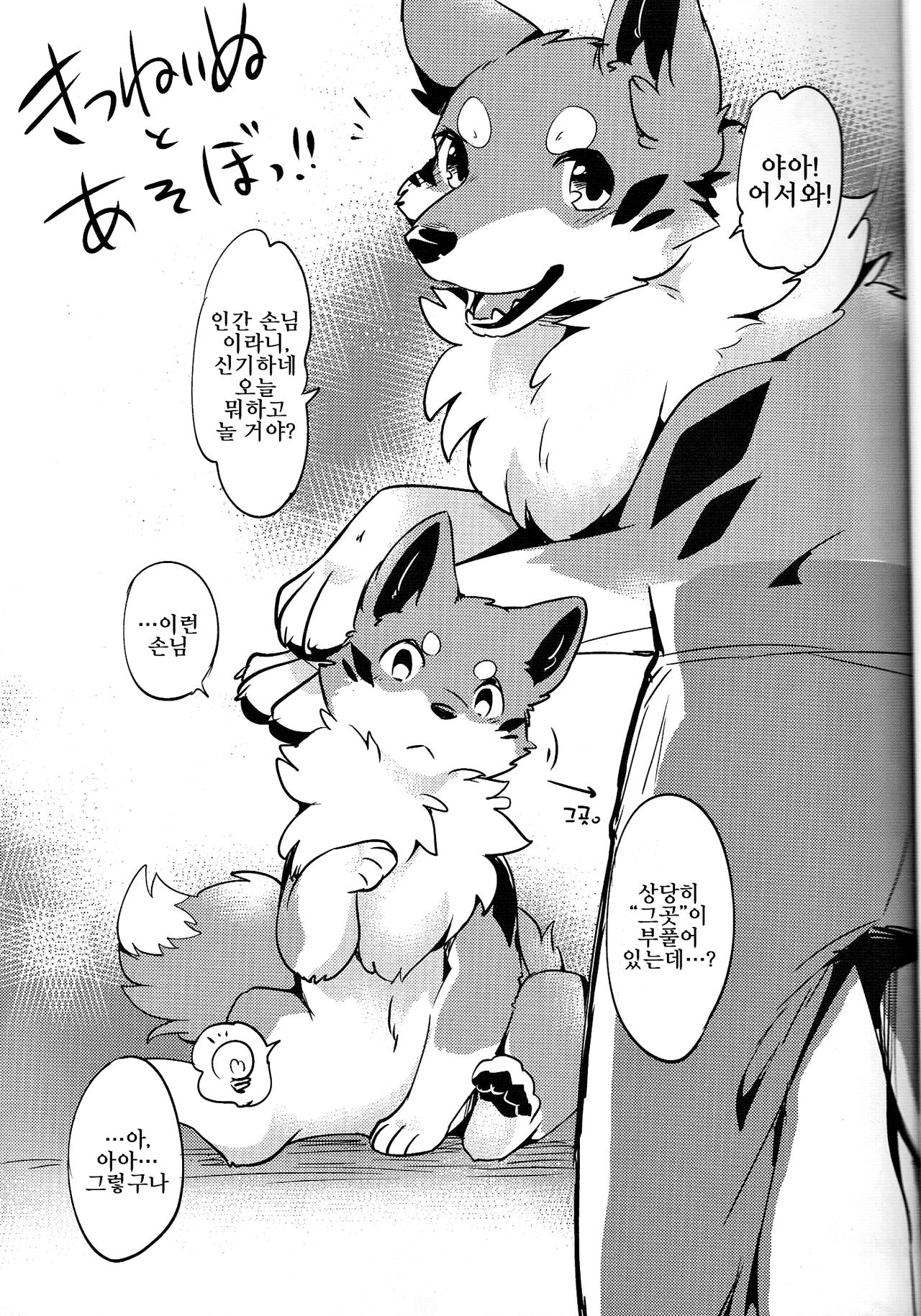 Kitsuneinu to Asobo!! | 여우개 랑 놀자앗!! page 2 full