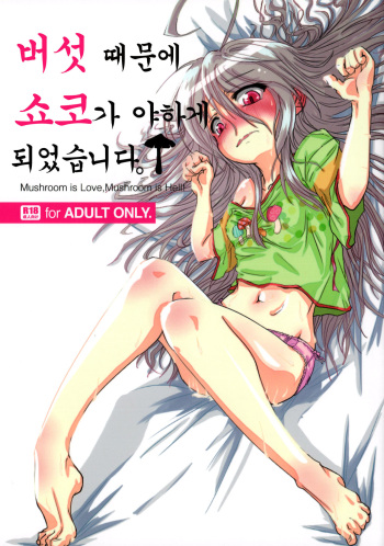 Kinoko no Sei de Syoko ga Eroku Narimashita. | 버섯 때문에 쇼코가 야하게 되었습니다. cover