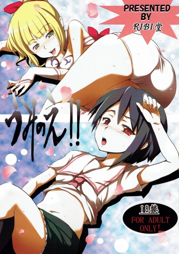 Umi no E cover