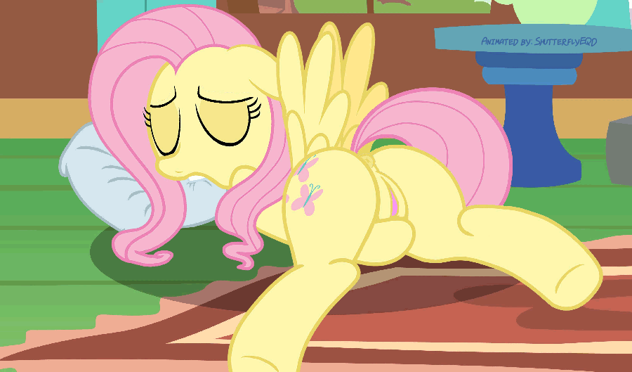 100% Fluttershy Gif Edition page 4 full