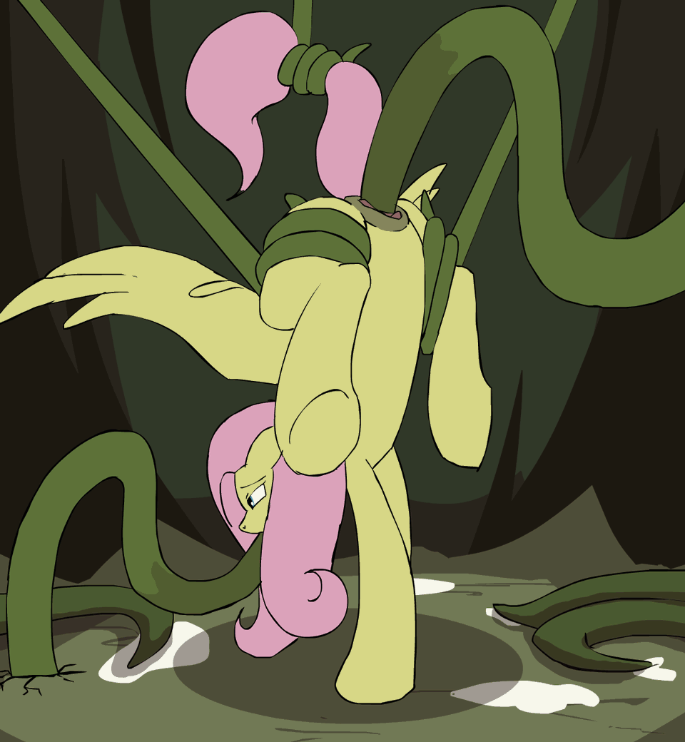 100% Fluttershy Gif Edition page 8 full